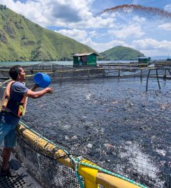 GENOMAR GENETICS GROUP