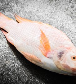 GENOMAR GENETICS GROUP